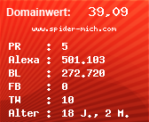 Domainbewertung - Domain www.spider-mich.com bei Domainwert24.net